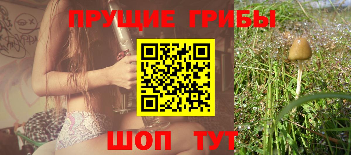 Псилоцибиновые грибы Cubensis  Вход с VPN  Шебекино  Галлюциногенные грибы прущие грибы 